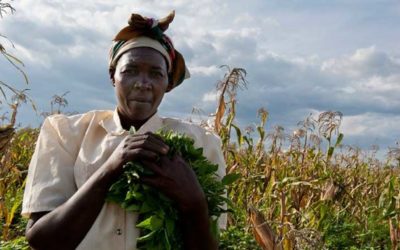 Women’s Land Rights Visiting Professionals Program